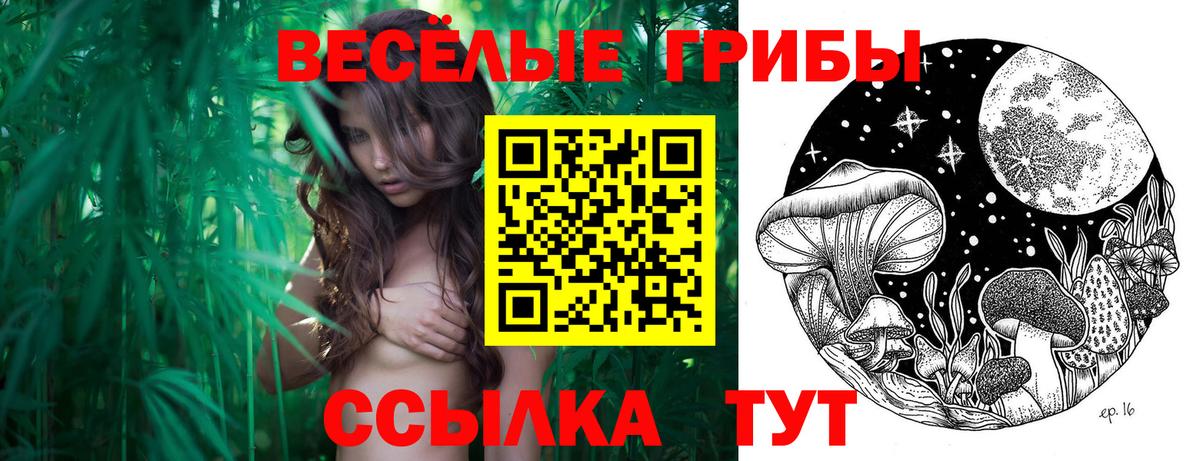 Галлюциногенные грибы Magic Shrooms  Вход с VPN  Псилоцибиновые грибы Psilocybe  Зеленогорск 
